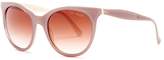 Thumbnail for your product : Ted Baker Women's Cat Eye Acetate Frame Sunglasses