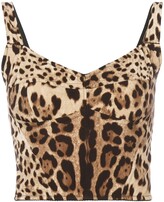 Thumbnail for your product : Dolce & Gabbana Leopard Print Bralet Top
