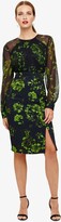 Thumbnail for your product : Phase Eight Alisha Floral Dress
