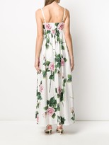 Thumbnail for your product : Dolce & Gabbana Tropical Rose Print Maxi Dress
