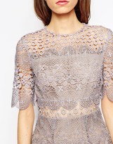 Thumbnail for your product : ASOS Premium Occasion Lace Pencil Dress