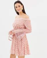 Thumbnail for your product : Sally Fringe Dress