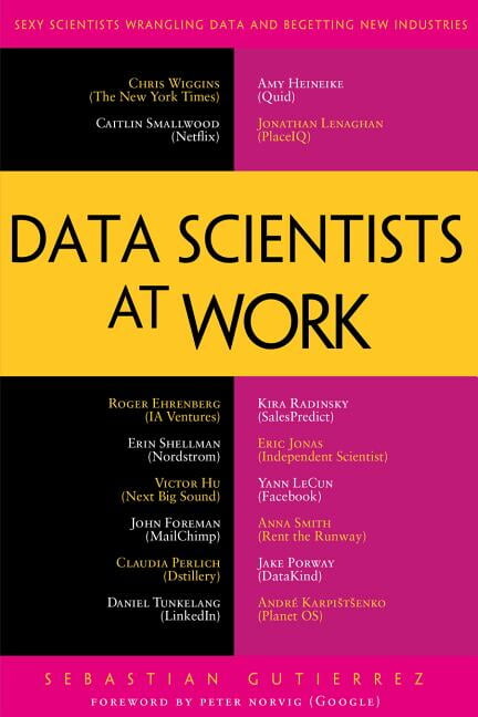 Data Scientists at Work (Paperback)