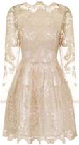 Thumbnail for your product : *Chi Chi London Petite Embroidered Mini Dress