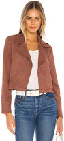 Thumbnail for your product : BB Dakota Jack by Stone Fox Faux Suede Moto