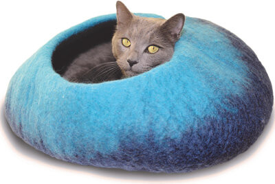 Dharma Dog Karma Cat Pet Designer Dome