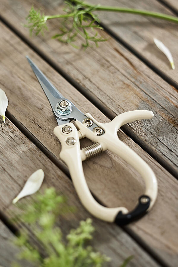 Pruner Snips