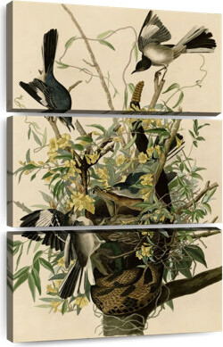 Ebern Designs Brampt Mocking Bird