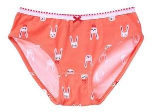 Gymboree Bunny Underwear