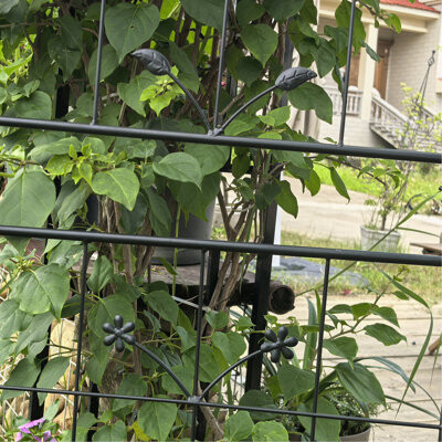 Red Barrel Studio Metal Trellis For Indoor/Outdoor Potted Plants 2 Pack 71\