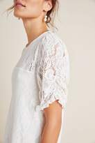 Thumbnail for your product : Anthropologie Parvati Lace Top