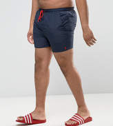 Thumbnail for your product : French Connection Plus Swim Shorts With Contrast Draw String And Inner
