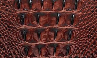 Brahmin Bailee Croc Embossed Leather Tote