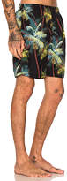 Thumbnail for your product : Stussy Palm Short