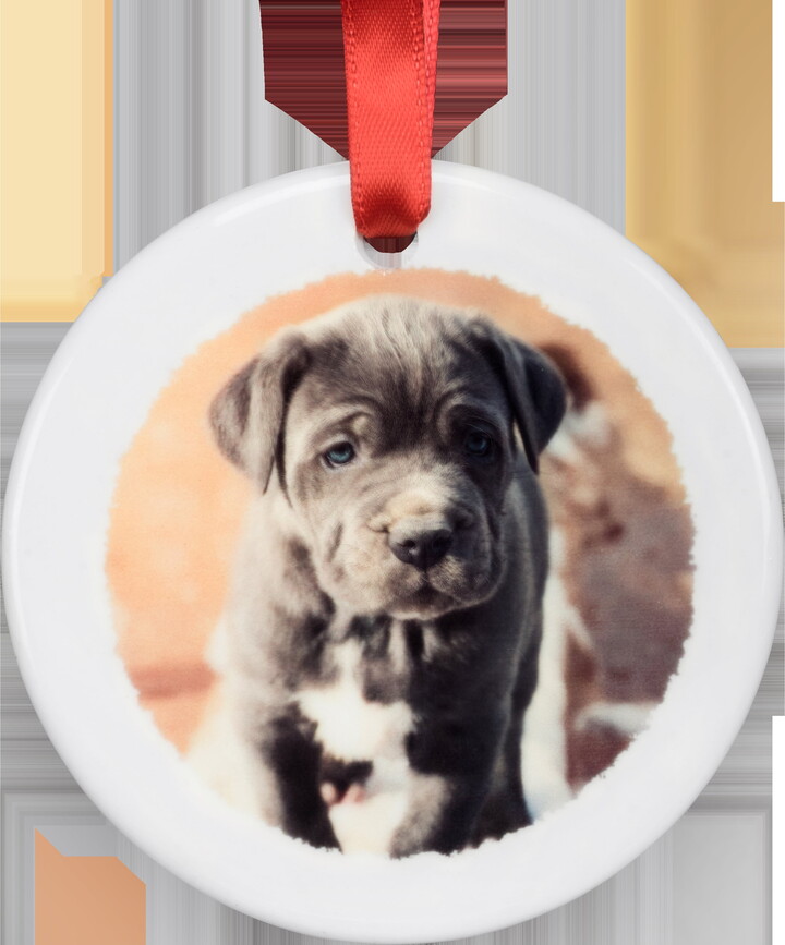 Walmart Custom Customizable Photo Ornament, Ceramic Disc