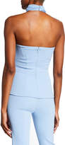 Thumbnail for your product : Cushnie Sleeveless Fitted Chiffon-Halter Top