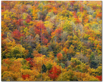 Picture-Tiles.com 12'' x 12'' Satin Ceramic Decorative Mural