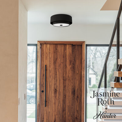 Hunter Fan Hunter Brookside 2 Light Flush Mount Ceiling Light Fixture