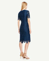 Thumbnail for your product : Ann Taylor Petite Botanical Lace Sheath Dress
