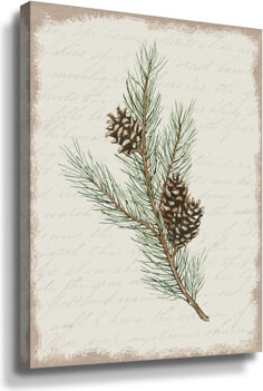ArtWall Pine Cone Botanical II Gallery