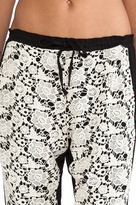 Thumbnail for your product : Chaser Lace Slouchy Pant
