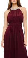 Thumbnail for your product : Phase Eight Peyton Embellished Dress