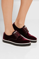 Thumbnail for your product : Miu Miu Leather-trimmed Velvet Brogues - Burgundy