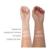 Thumbnail for your product : Benefit Cosmetics Dandelion Dew Liquid Blush