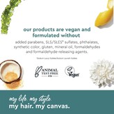 Thumbnail for your product : ALTERNA Haircare My Hair My Canvas Me Time Every Day Shampoo