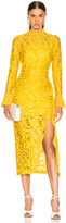 Thumbnail for your product : Alexis Fala Dress in Gold Lace | FWRD