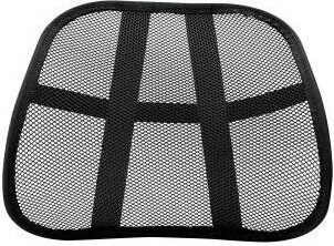 Overstock Fellowes Mesh Back Support