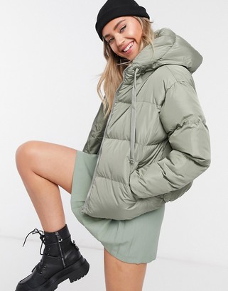 hooded dress tommy hilfiger