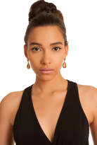 Thumbnail for your product : Trina Turk GOLD RUSH DROP POST EARRING