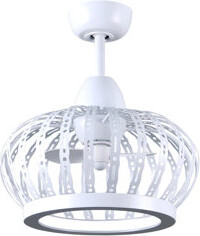 Matthews Fan Company 12" Dana 2 - Blade LED Caged Ceiling Fan with Remote Control and Light Kit Included