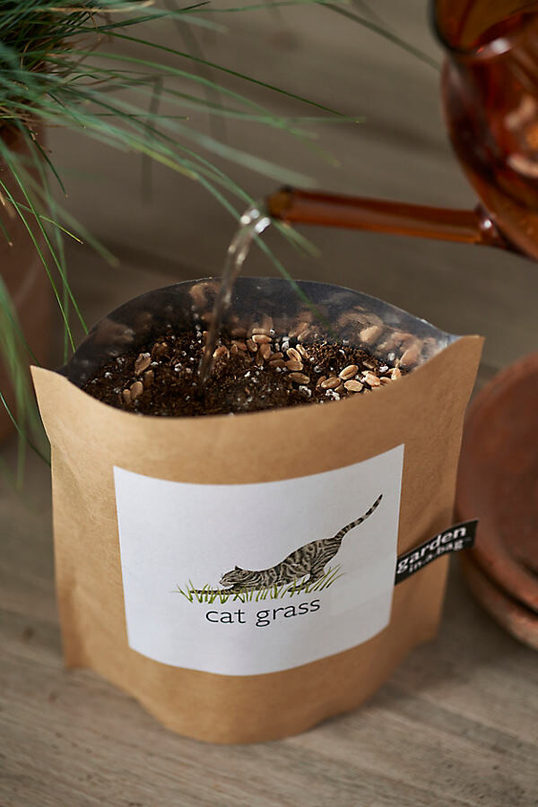 Cat Grass Grow Bag Kit at Terrain