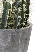 Thumbnail for your product : Nearly Natural Decorative Cactus Garden with Cement Planter