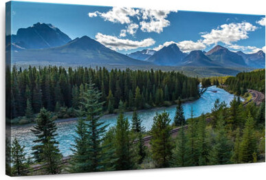 Millwood Pines Alvord Iconic Morant's Curve