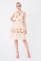 Thumbnail for your product : Little Mistress Hana Nude Floral-Embroidered Skater Dress