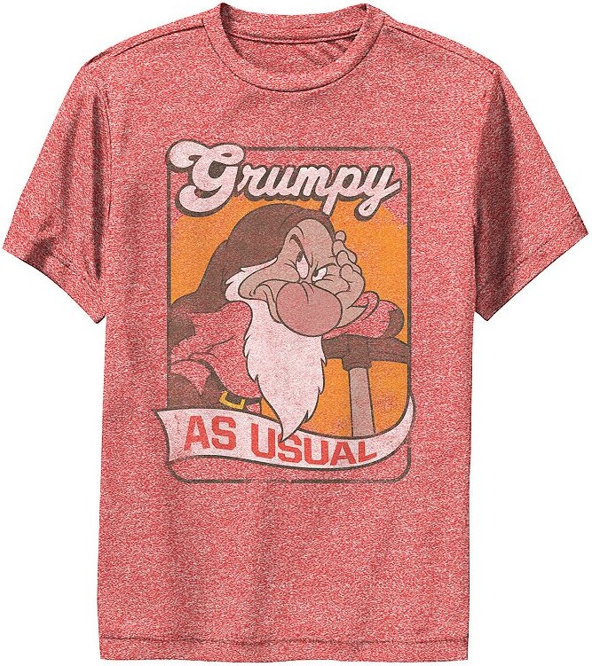 Disney's Snow White And The Seven Dwarfs Grumpy As Usual Boys 8-20 Performance Graphic Tee
