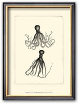 Thumbnail for your product : Art.com Sepia Octopus" Framed Art Print