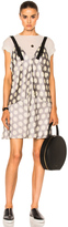 Thumbnail for your product : Calvin Klein Collection Knox Multi Print Crew Neck Dress