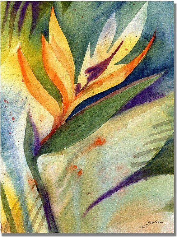 Trademark Fine Art Shelia Golden 'Bird of Paradise' Canvas Art 24x32 Inches