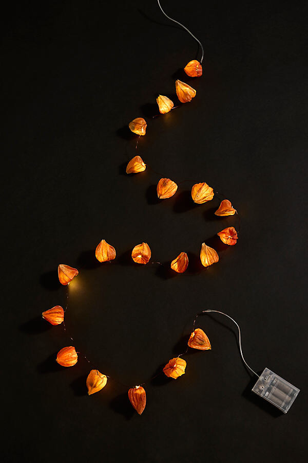 Japanese Lantern Seed Pod String Lights