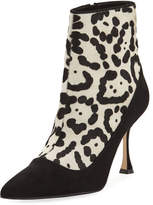 Thumbnail for your product : Manolo Blahnik Dolorov Suede & Leopard-Print Calf Hair Booties