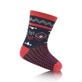Thumbnail for your product : Absorba AbsorbaBaby Boys Navy & Red Patterned Socks