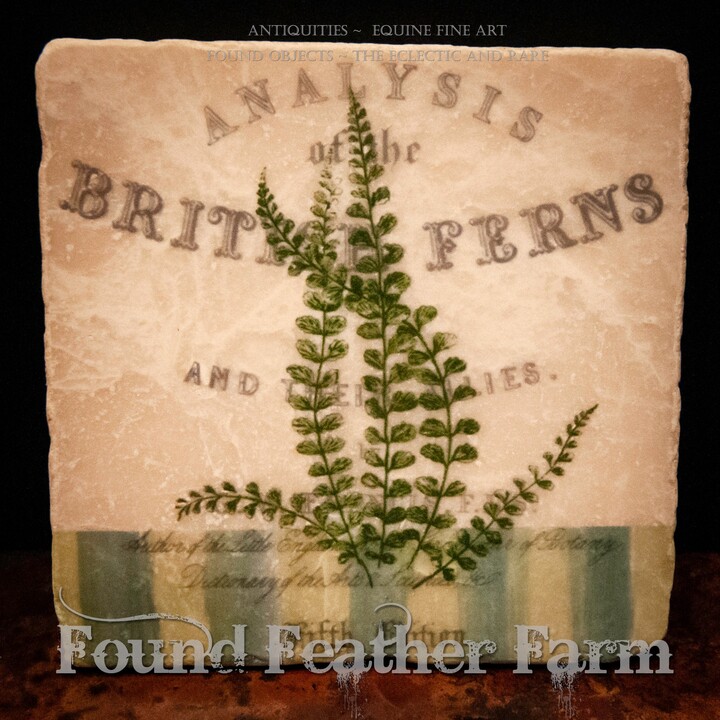 Etsy Tumbled Marble Stone Coasters With Vintage British Fern Images
