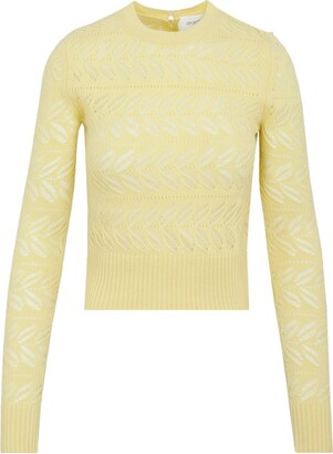 Sportmax Perforated Crewneck Knitted Jumper