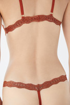 Thumbnail for your product : We Are HAH Lace T-String Thong