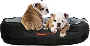 BingoPaw Waterproof Orthopedic Bolster Dog Bed