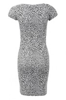 Thumbnail for your product : Select Fashion Fashion Womens Grey Animal Jaquard Mini Dress - size 6